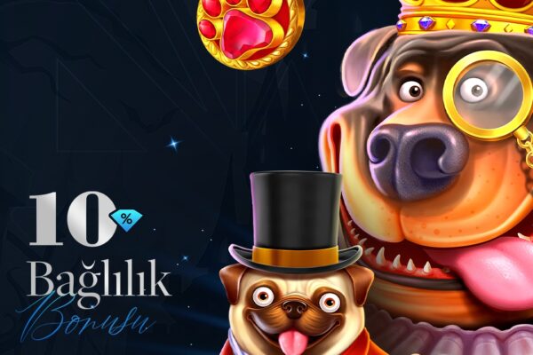 Sapphire Palace Müşteri Memnuniyeti: Şikayet ve Çözüm Deneyimleri ile Kalitenin Ölçütü WSOP turnuva stratejileri ve Sapphire Palace poker odalarında başarılı olma taktikleri. Turnuva pokerinde kazanmanın püf noktalarını öğrenin.